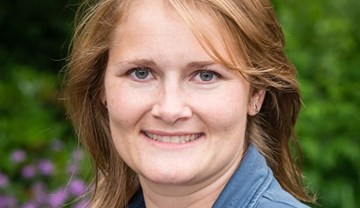 Teamwork makes the dream work